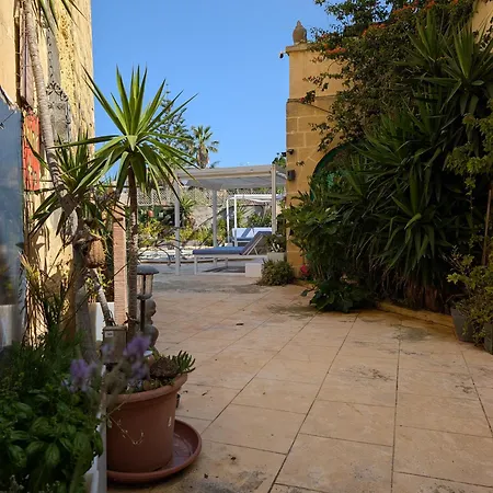 Tal Jordan Complex *